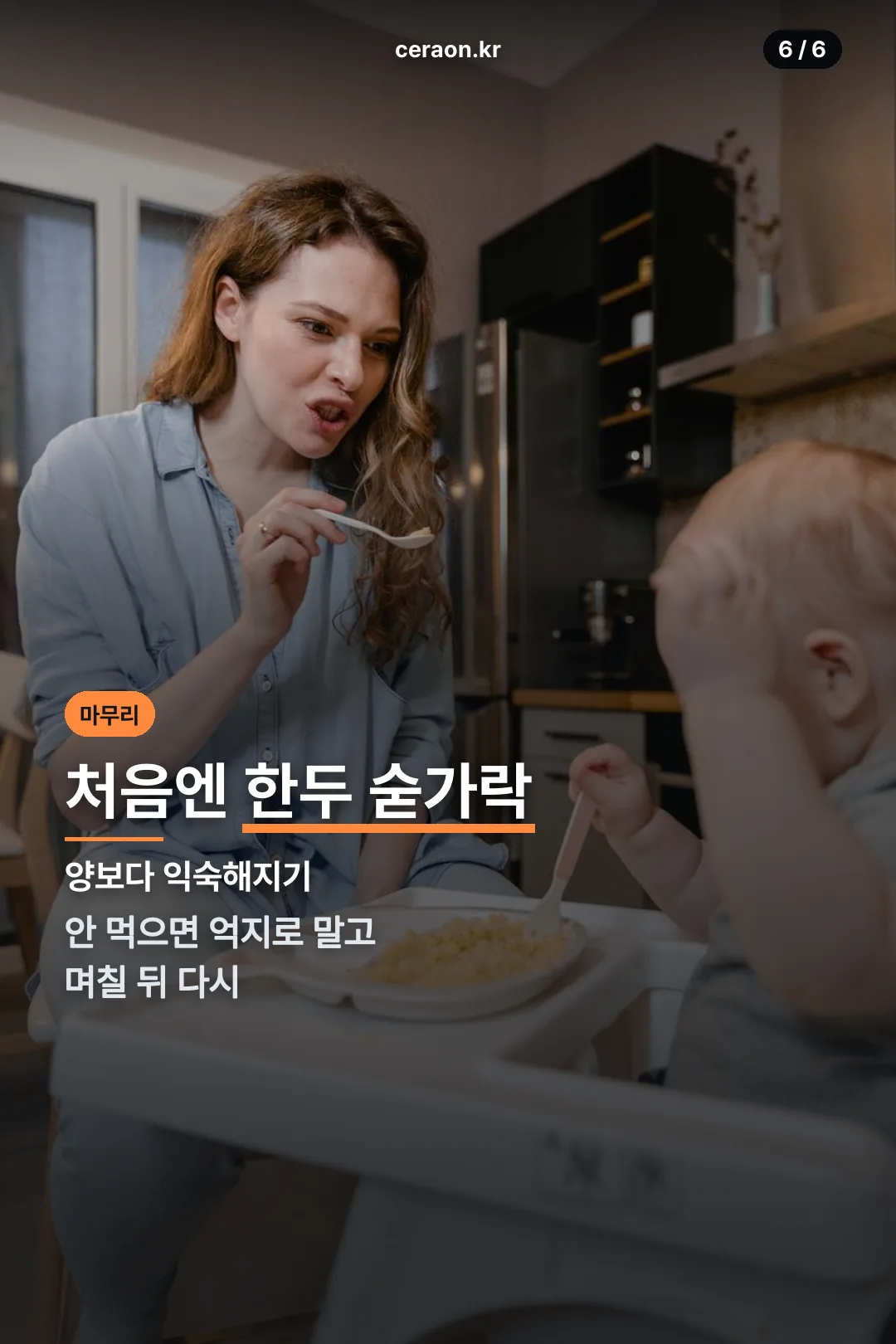 처음 양 안내