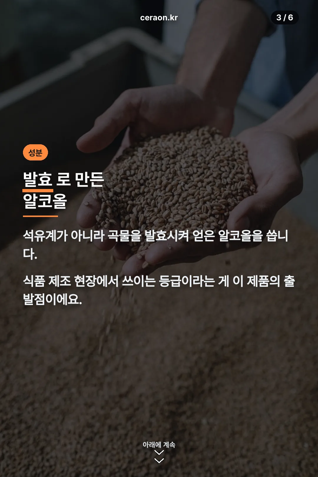 발효 알코올