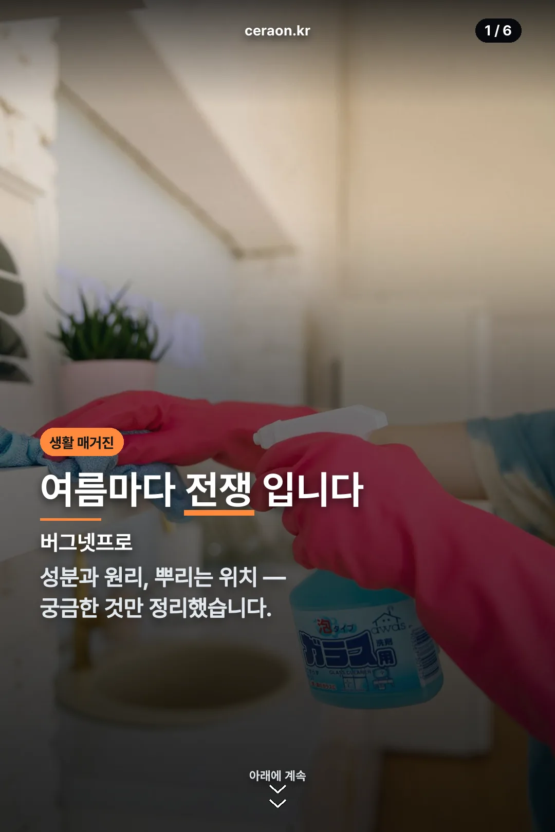 버그넷프로 표지
