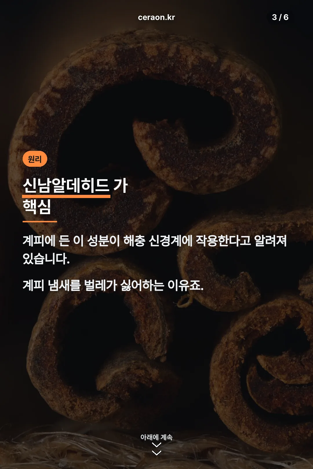 계피 성분 원리