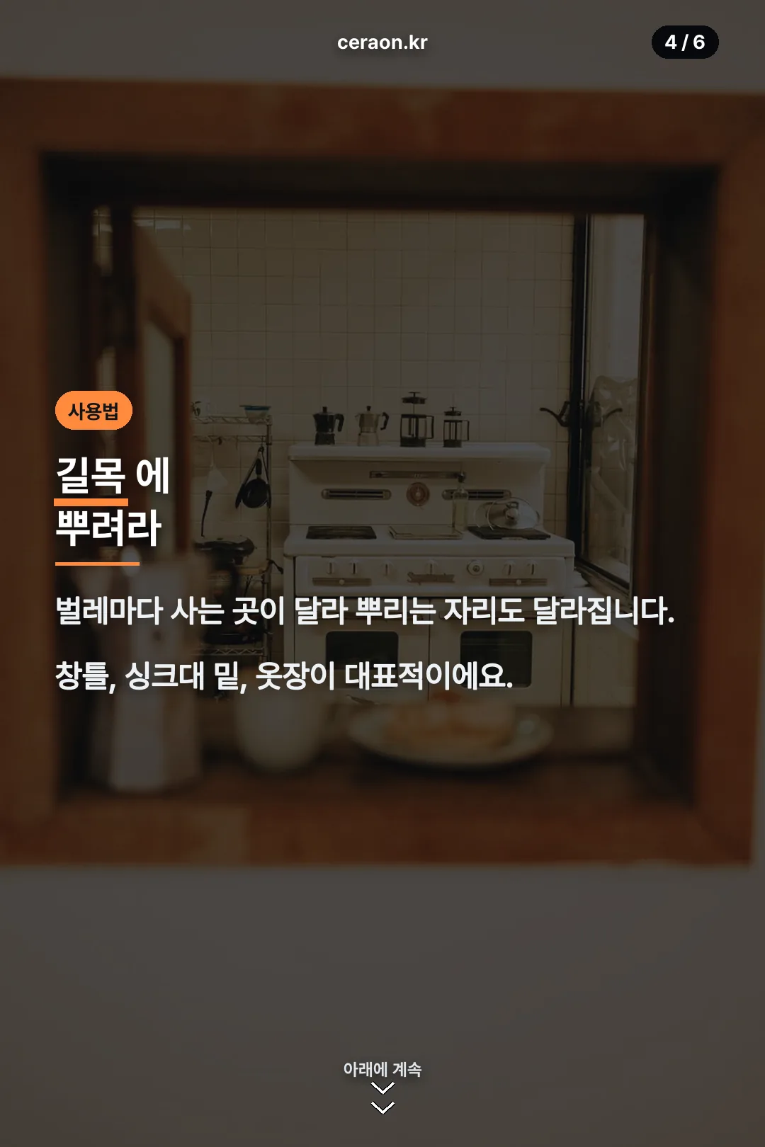 뿌리는 위치