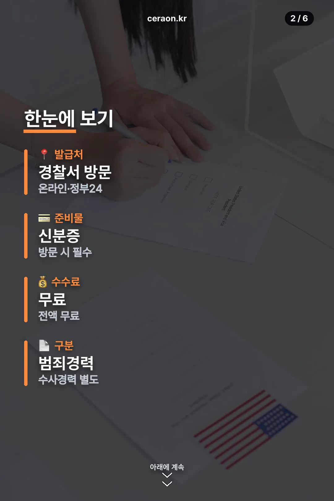 발급 요약