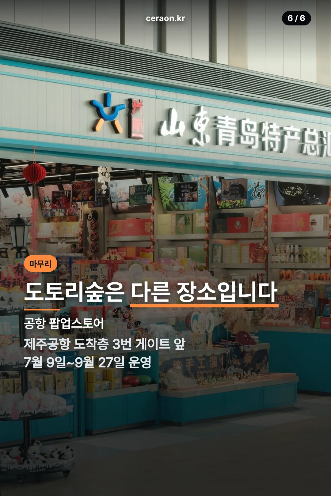 도토리숲 팝업스토어