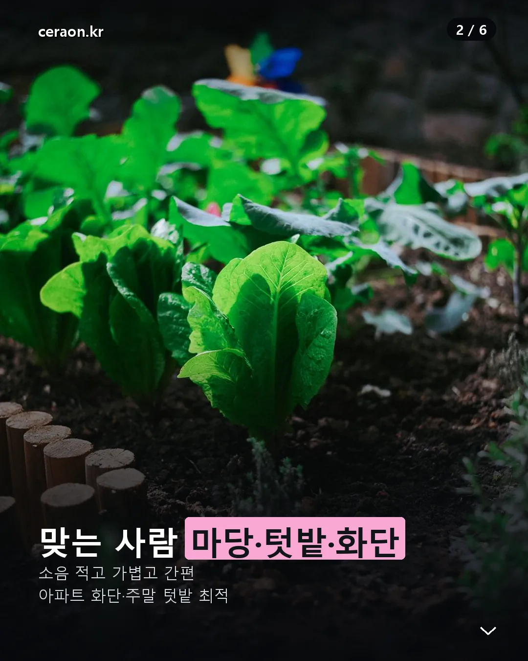 미니 예초기 마당 텃밭 용도