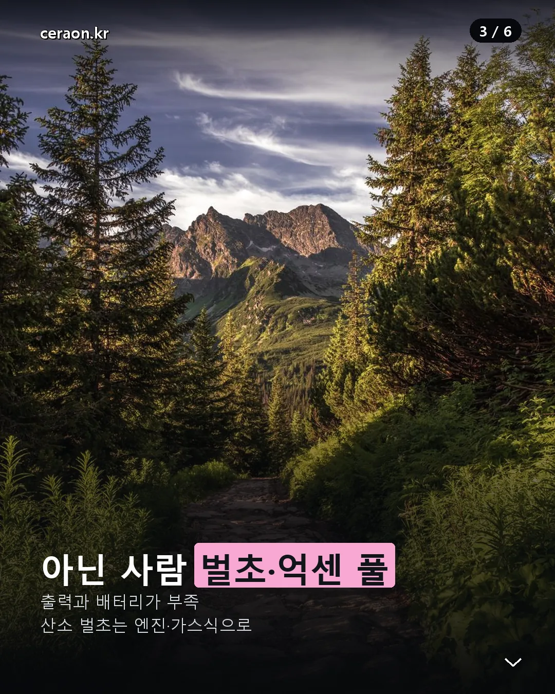 미니 예초기 벌초 한계