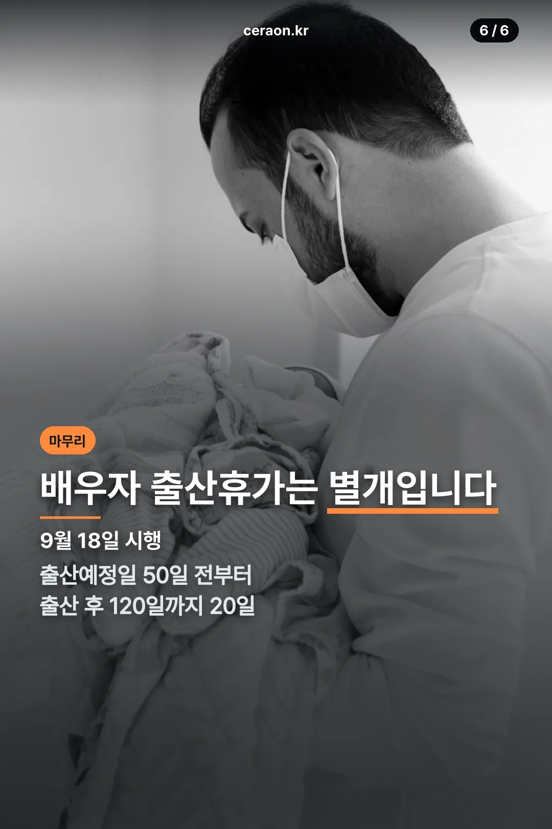 배우자 출산휴가 비교