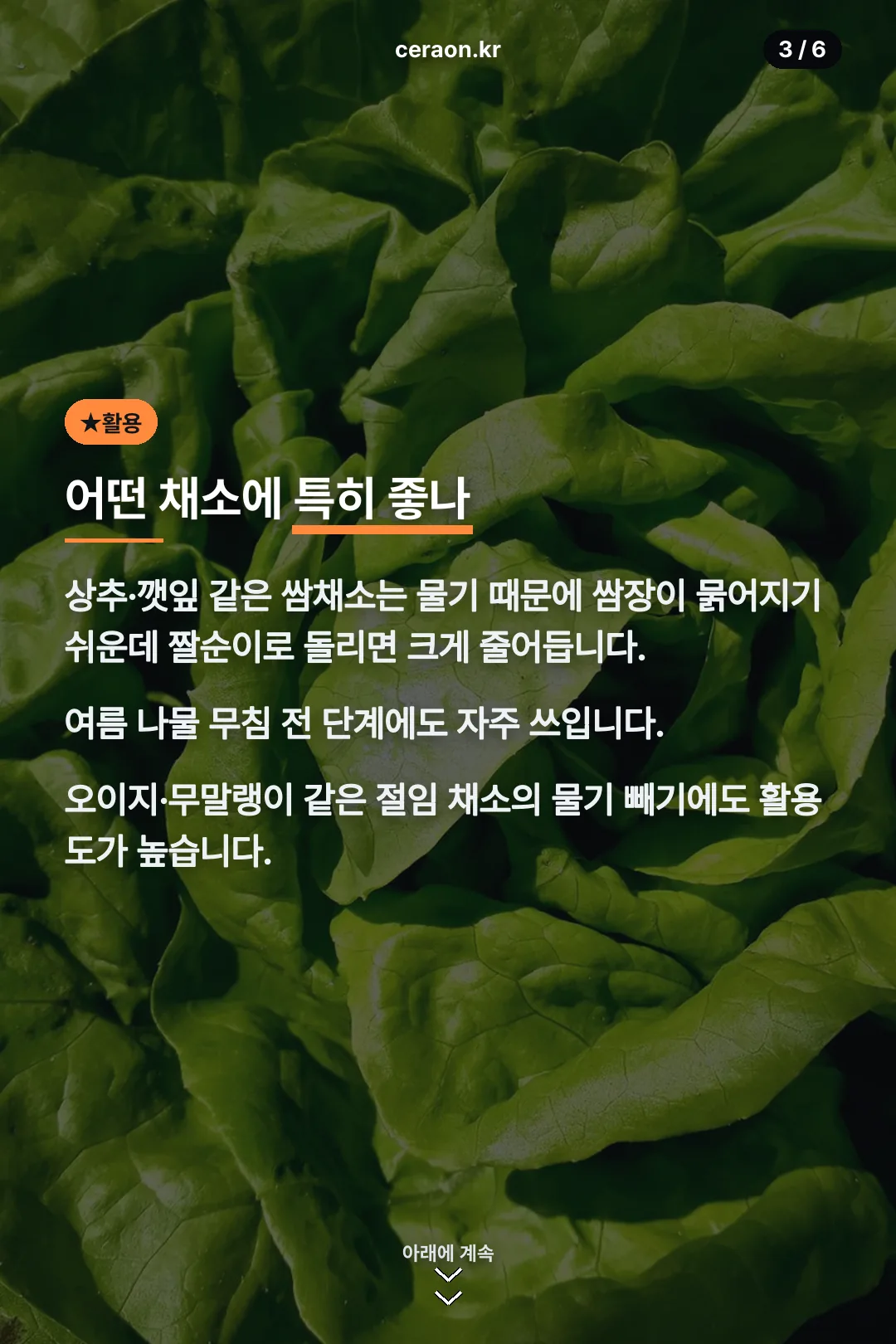 어떤 채소에 좋은지