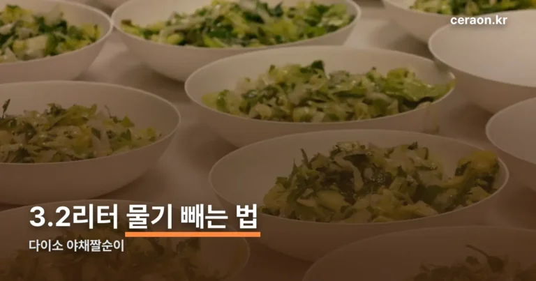 다이소 야채짤순이 사용법 — 3.2리터 탈수기로 물기 빼는 법 정리