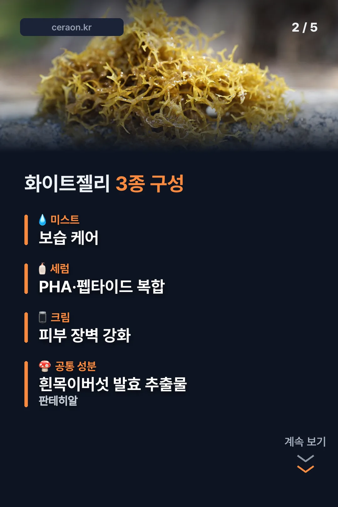 화이트젤리 3종 구성