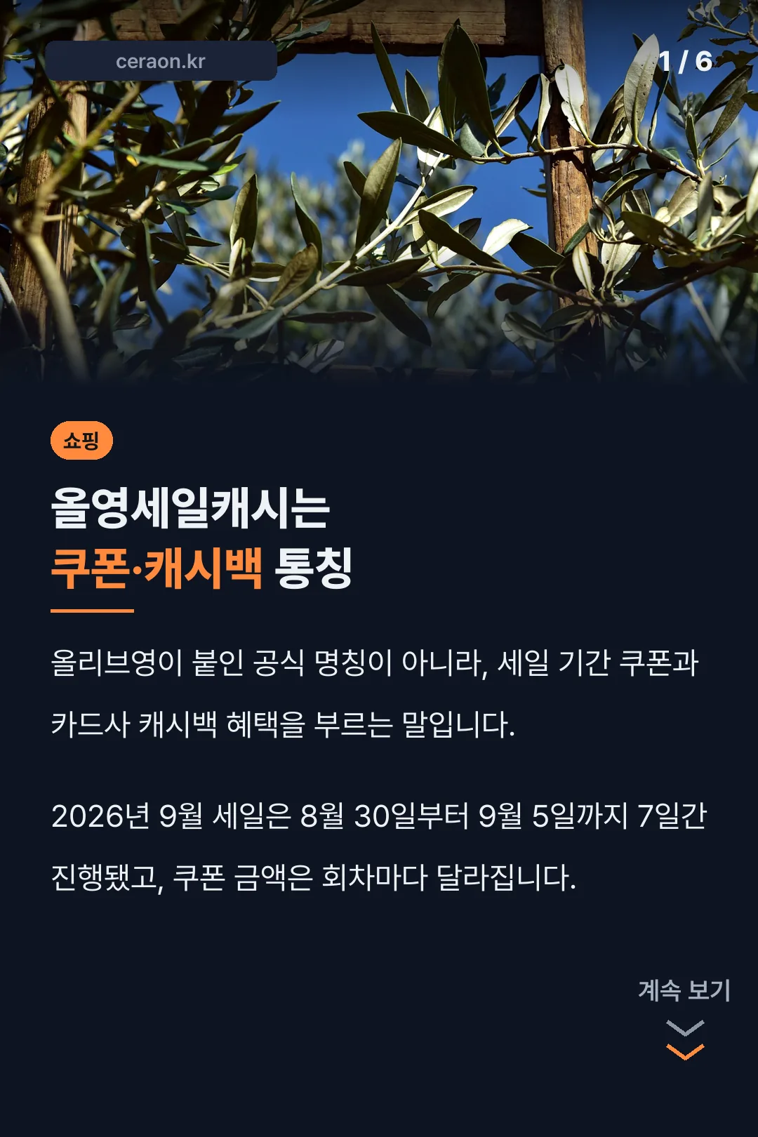 올영세일캐시는 쿠폰·캐시백 통칭
