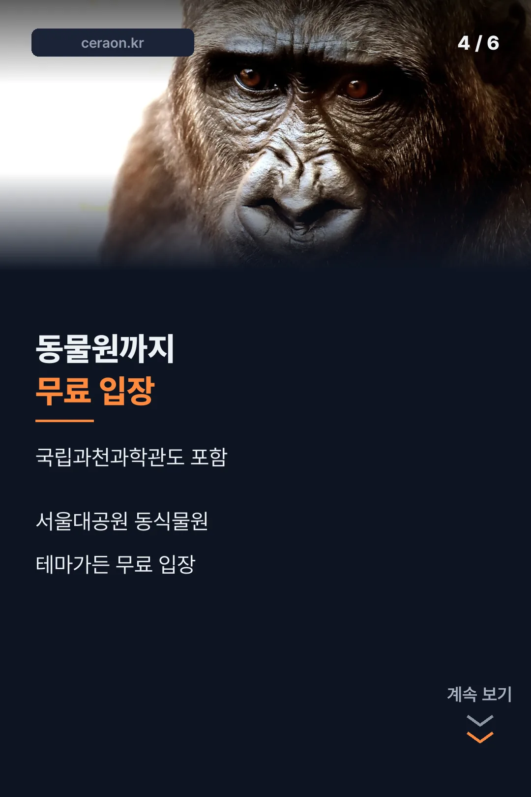 동물원 무료 혜택