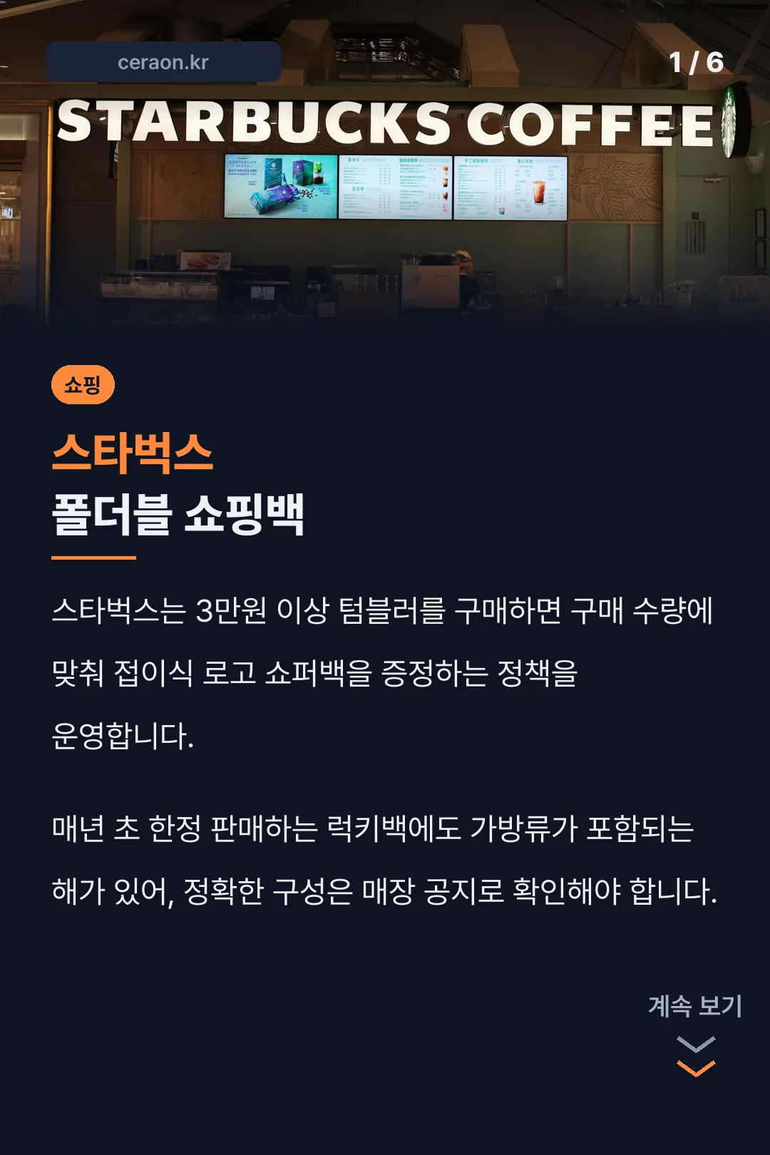 스타벅스 폴더블 쇼핑백