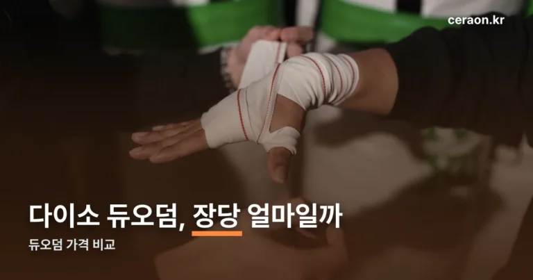 다이소 듀오덤 가격 — 장당 2,000원, 대용량은 얼마나 쌀까