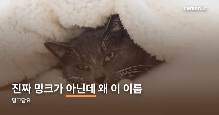 밍크담요 정리 썸네일