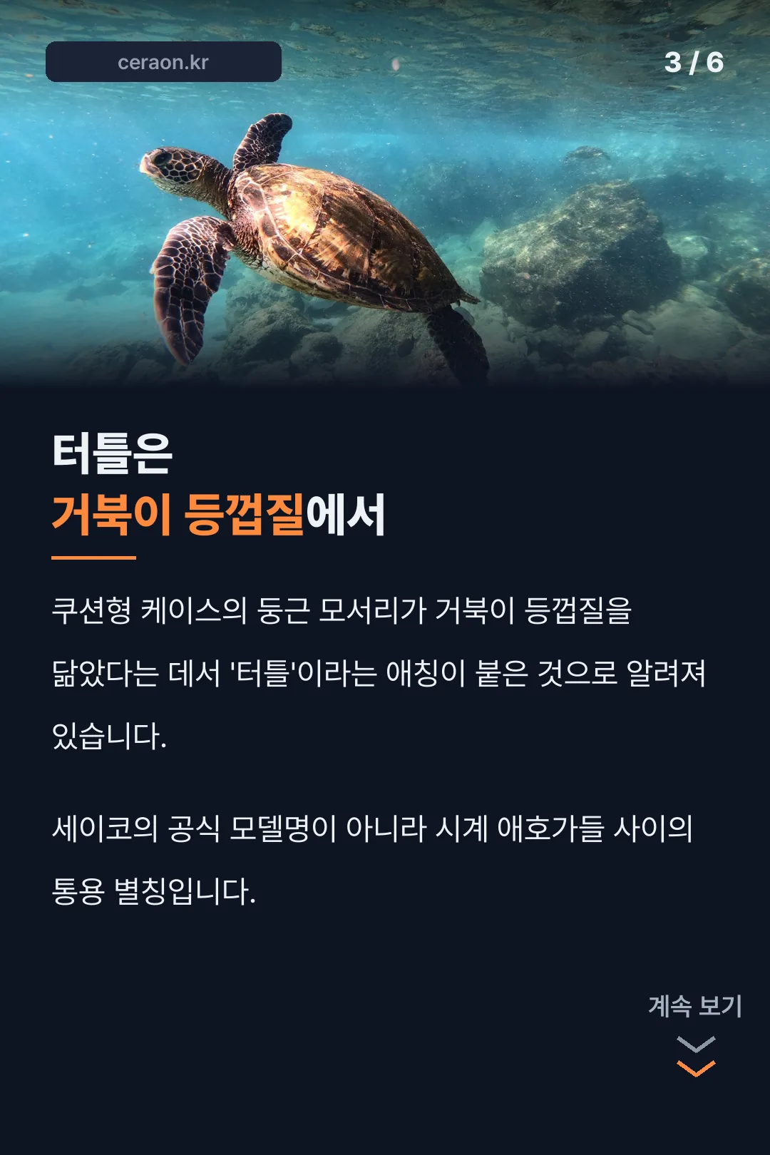 터틀 애칭의 유래