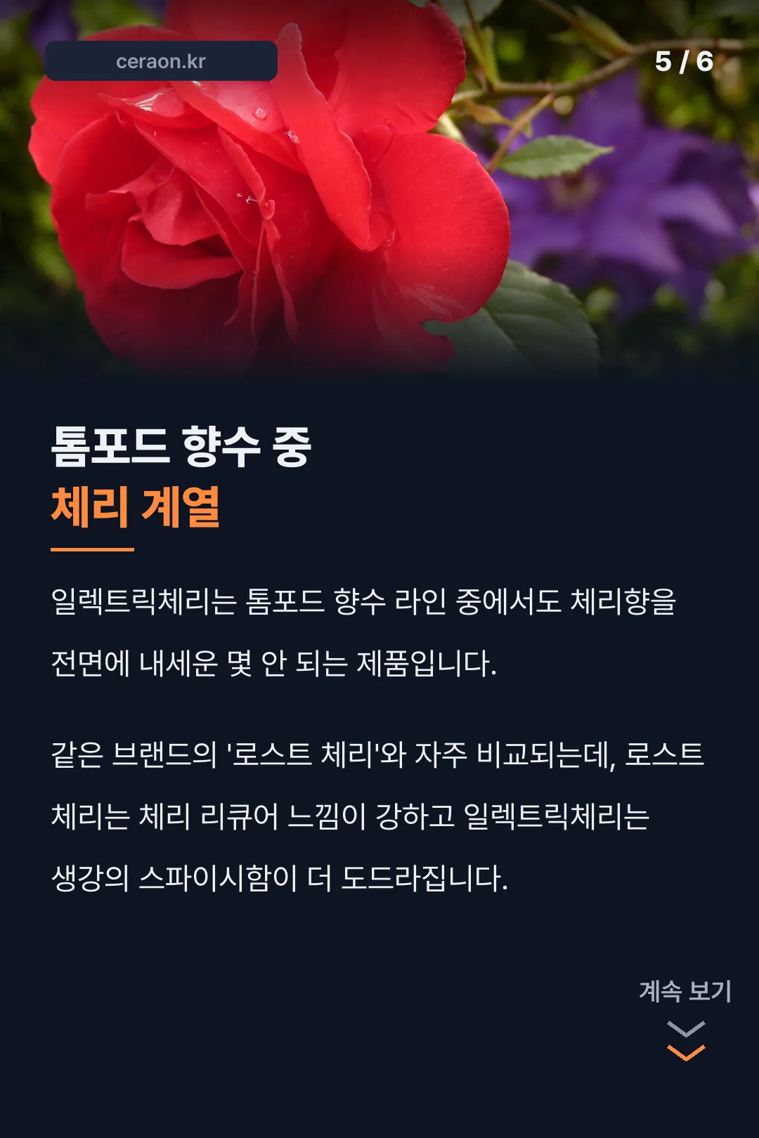 일렉트릭체리와 로스트체리 비교